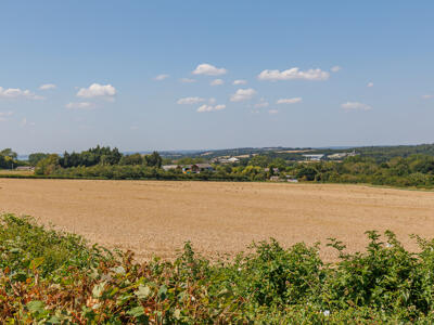 Picture 39
